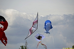 Venice kite festival_0180